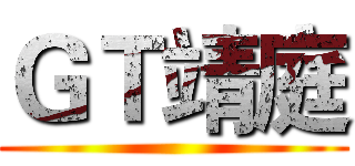 ＧＴ靖庭 ()