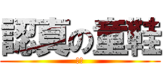 認真の童鞋 (喵喵)