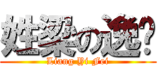 姓梁の逸飞 (Liang Yi Fei)