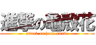 進撃の龜殼花 (attack on hana snake)