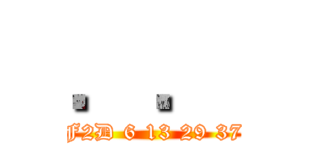 ．． (F2D 6 13 29 37)