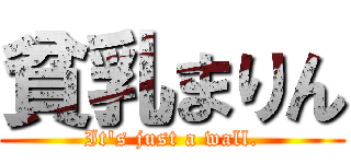 貧乳まりん (It\'s just a wall.)