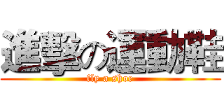 進擊の運動鞋 (fly a shoe)