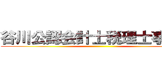 谷川公認会計士税理士事務所 ()