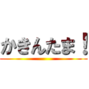 かきんたま！ ()