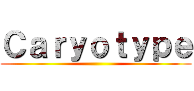 Ｃａｒｙｏｔｙｐｅ ()