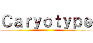 Ｃａｒｙｏｔｙｐｅ ()