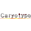 Ｃａｒｙｏｔｙｐｅ ()