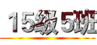 １５级５班 ()