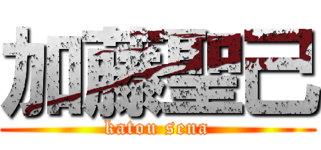加藤聖己 (katou sena)