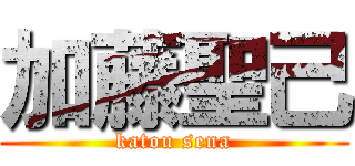 加藤聖己 (katou sena)