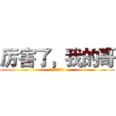 厉害了，我的哥 (厉害了，我的哥)