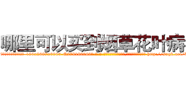 哪里可以买到烟草花叶病毒 (哪里可以买到烟草花叶病毒【电-186x2687x6963-Q278180069元-吉-药-业】我们做的是长期生意,靠的是老客户长期支持 http://sngk.net/TiM2aE
)
