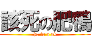 該死の肥鴨 (he is a sb)