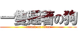 一隻睡著の狗 (attack on titan)