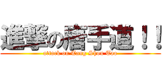 進撃の唐手道！！ (attack on Tang Shou Tao)