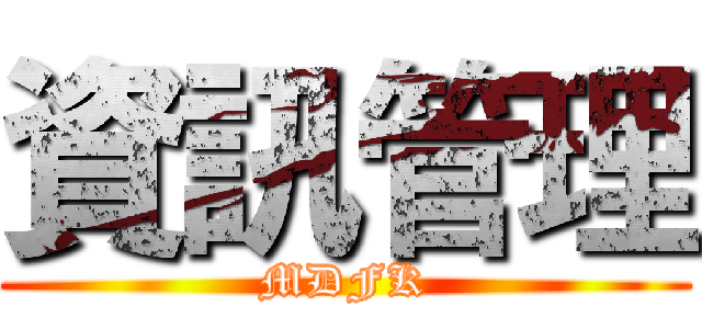 資訊管理 (MDFK)