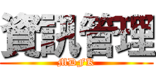 資訊管理 (MDFK)