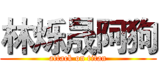 林烁晟阿狗 (attack on titan)
