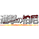 進撃の柏尼 (attack on Bernie)