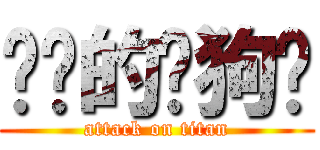 进击的疯狗诙 (attack on titan)