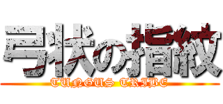 弓状の指紋 (TUNGUS TRIBE)