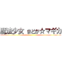 魔法少女 まどか☆マギカ ()