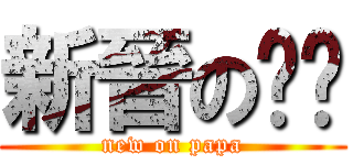 新晉の奶爸 (new on papa)