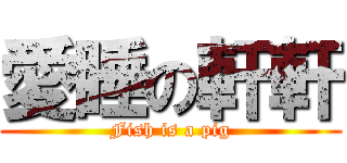 愛睡の軒軒 (Fish is a pig)