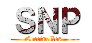 ＳＮＰ (Coccinelles )