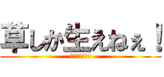 草しか生えねぇ！ (笑いが止まらん)