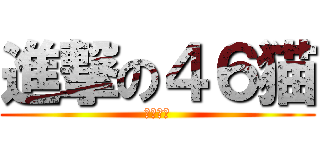 進撃の４６猫 (破壊の神)