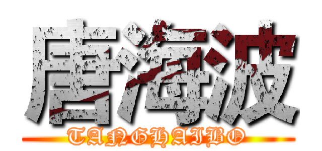 唐海波 (TANGHAIBO)