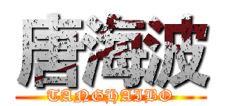 唐海波 (TANGHAIBO)