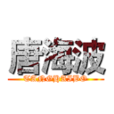 唐海波 (TANGHAIBO)