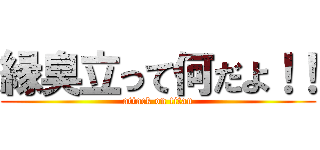 縁臭立って何だよ！！ (attack on titan)