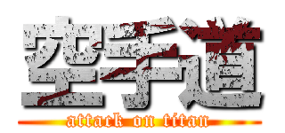 空手道 (attack on titan)