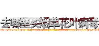 去哪里买烟草花叶病毒 (去哪里买烟草花叶病毒【电-186x2687x6963-Q278180069元-吉-药-业】我们做的是长期生意,靠的是老客户长期支持 http://sngk.net/Ap86b5
)