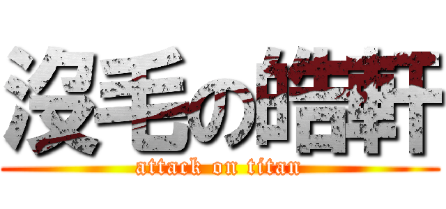 沒毛の皓軒 (attack on titan)