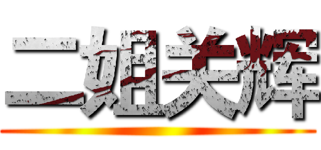 二姐关辉 ()