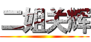 二姐关辉 ()