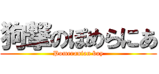 狗撃のぽめらにあ (Pomeranian boy)