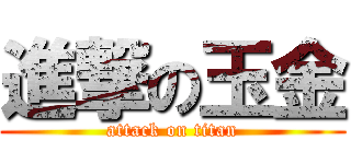 進撃の玉金 (attack on titan)