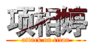 项相婷 (attack on titan)