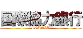 国際協力銀行 (SCAMER)