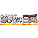 該死の白尾 (I will kill　ｈｉｍ)
