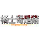 杨士奇是猪 (Dr Yang is Pig)