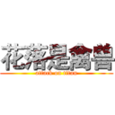 花落是禽兽 (attack on titan)