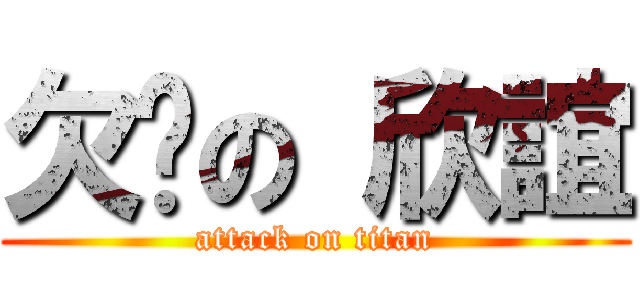 欠揍の 欣誼 (attack on titan)