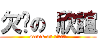 欠揍の 欣誼 (attack on titan)